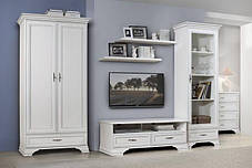 Тумба під телевізор Кентуккі RTV 2D1S БРВ 520x1440x440мм білий альпійський, фото 3