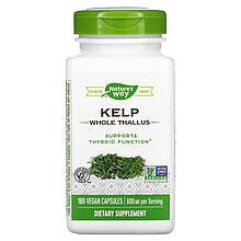 Вітаміни для щитоподібної залози Nature's Way, Kelp 600 mg 180 Veg Caps