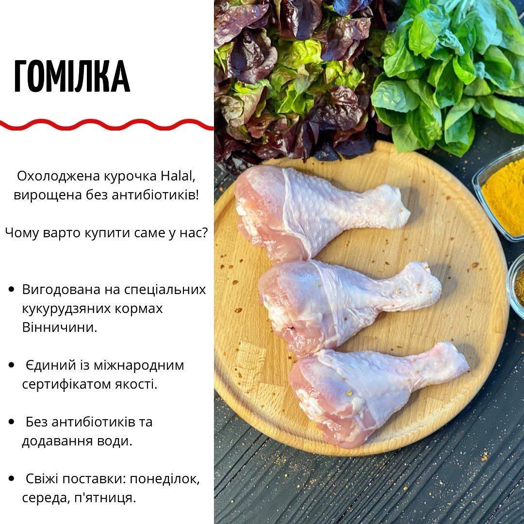 Гомілка охл. "KURATOR"