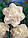 Нарцис махровий Obdam цибулина (1 шт.), фото 2