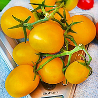 Томат Де Барао Золотий Елітний ряд 1 грам