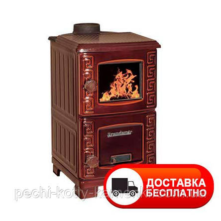 Дров'яна піч-камін Duval EM-203F турбо з варильною плитою, фото 1