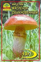 Міцелій гриба Маслюк звичайна, 10 г