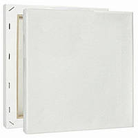 Полотно на підрамнику 20х20 13008