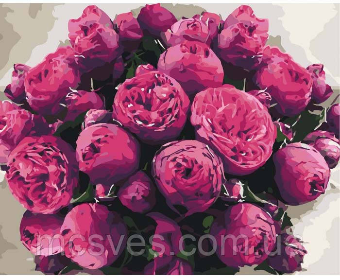 Картина за номерами "Загадкові півонії" 40х50 см 13102-AC, фото 1