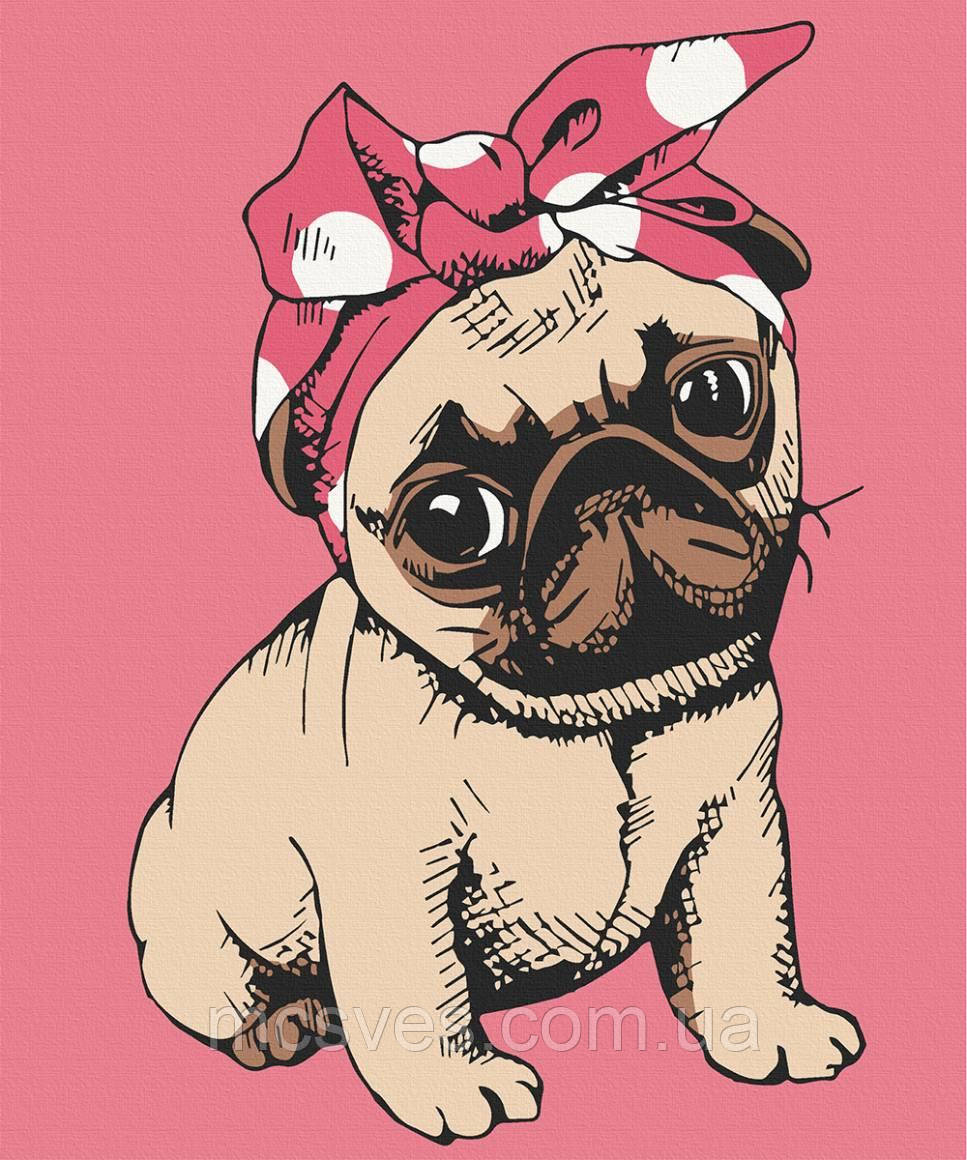 Картина за номерами. "Красуня мопс" 25х30 15532-AC, фото 1