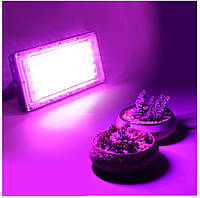 Світлодіодна лампа LED 50Вт 220В IP65 - повний спектр, фітолампи, прожектор