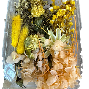 Набір сухих квітів для декору сухоцвіти  (6)