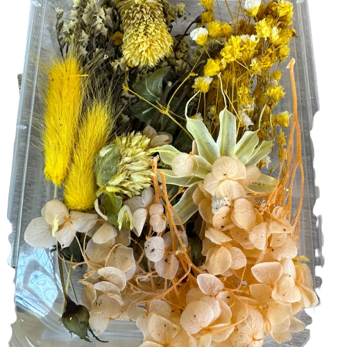 Набір сухих квітів для декору сухоцвіти  (6)
