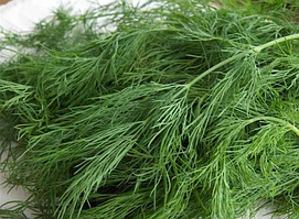 Кріп кущовий Алігатор Nasko 100 гр.