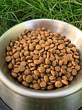 Сухий корм для кішок Пан Кот Яловичина 10 кг, фото 2