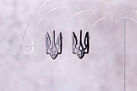 Сережки гвіздочки у вигляді Гербу України, медична сталь