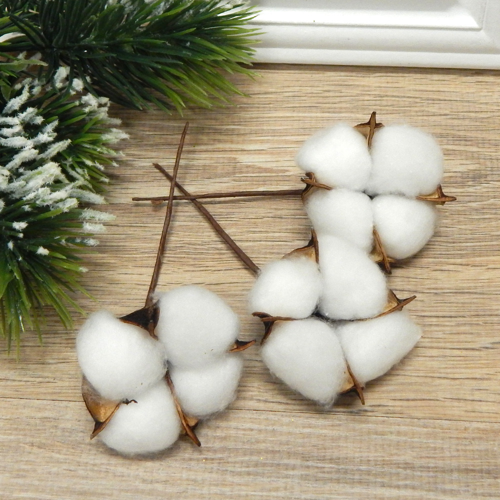 Натуральний сухоцвіт - коробочка бавовни на дротику