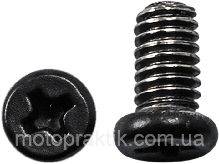 LS2 SCREWS RATCHET FF352/FF384 Гвинти кріплення візора