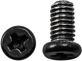 LS2 SCREWS RATCHET FF352/FF384 Гвинти кріплення візора