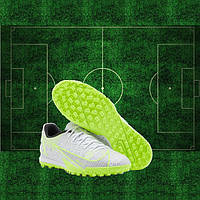 СОРОКОНІЖКИ ФУТБОЛЬНІ