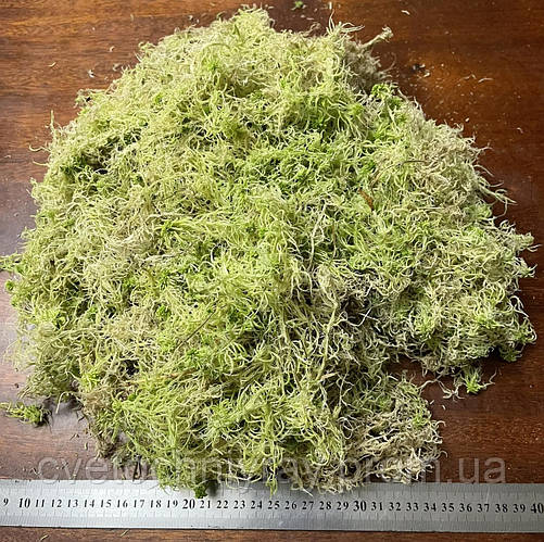 Купить Мох сфагнум сушений 1 л Drymoss, цена 35 грн — Prom.ua (ID ...