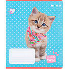 Зошит шкільний Kite 12 аркушів у лінію Studio Pets sp22-234, фото 5