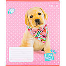 Зошит шкільний Kite 12 аркушів у лінію Studio Pets sp22-234, фото 7