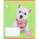 Зошит шкільний Kite 12 аркушів у лінію Studio Pets sp22-234, фото 9