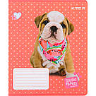 Зошит шкільний Kite 12 аркушів у лінію Studio Pets sp22-234, фото 11