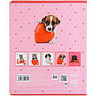 Зошит шкільний Kite 24 аркушів клітинка Studio Pets sp22-238-2, фото 7