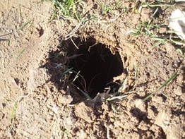 БУРІННЯ СВЕРДЛОВИН ЯМ ЛУНОК ОТВОРІВ У ГРУНТІ