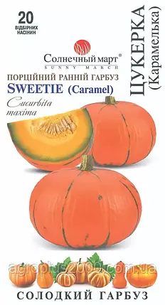 Насіння Гарбуз Конфетка 20 насіння Сонячний Март, фото 1