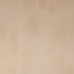 Жалюзі вертикальні тканини Rembrandt (Рембрандт) 4903