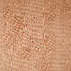 Жалюзі вертикальні тканини Rembrandt (Рембрандт) 4905