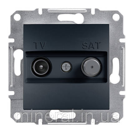 Розетка TV прохідна Schneider Electric EPH3400271 Asfora, антрацит, пластик, фото 1