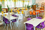 Стіл для їдальні з кольоровим пластиковим покриттям HPL, фото 8