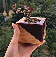 Кашпо ваза горшок органайзер ручной работы из дерева ореха дуба ясеня для суккулента стабилизированного мха