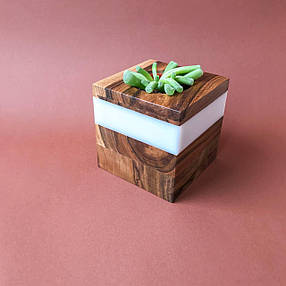 Кашпо ваза горщик органайзер ручної роботи з деревини горіха дуба ясена для сукуленту стабілізованого моху, фото 2
