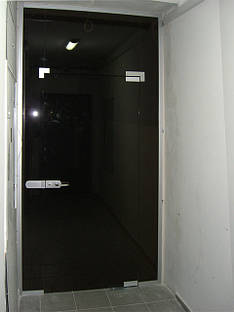 Скляні вхідні двері