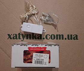 Новорічна світлодіодна гірлянда РОСА 100 LED, 10м белий