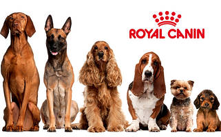 Корм для собак в залежності від розміру Royal Canin