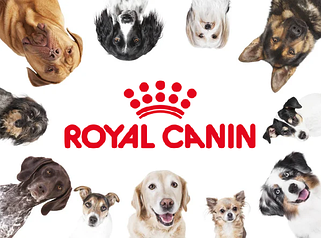 Корм для собак в залежності від породи Royal Canin