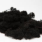 Стабілізований мох Чорний Ягель Норвезький 1 кг Green Ecco Moss, фото 4