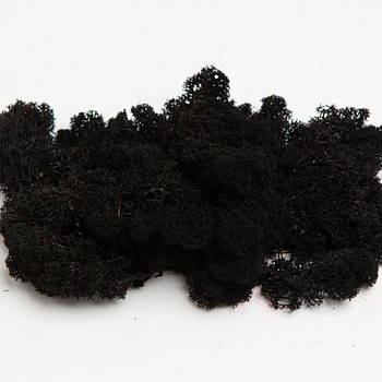 Стабілізований мох Чорний Ягель Норвезький 250 г Green Ecco Moss
