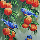 3349 Сині пташки, набір для вишивання бісером картини, фото 9