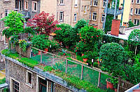 Озеленення дахів: добре для навколишнього середовища, красиво на вигляд.