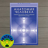 Михаил Иваницкий Анатомия человека (с основами динамической и спортивной морфологии)