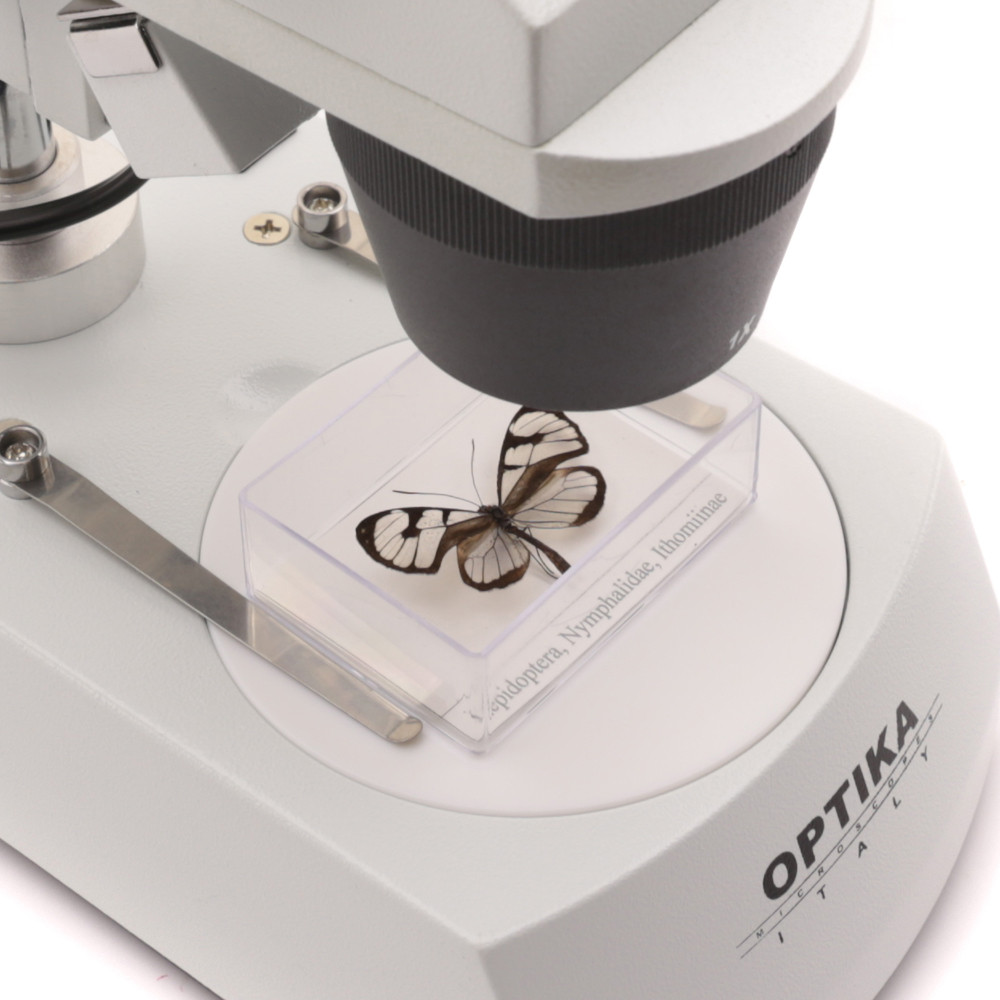 Мікроскоп Optika Stereomicroscope with fixed arm 20x-40x (SFX-51) - фото 5 - id-p1508783574