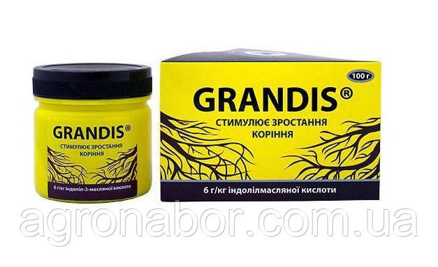 Grandis (Грандіс) 100 г укорінювач, Кіссон
