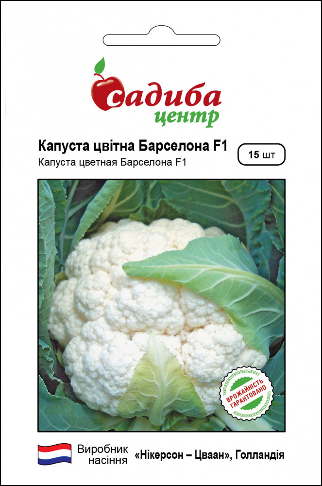 Капуста цвітна Барселона F1, 15 шт, Nickerson- Zwaan (Голландія)