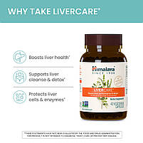 Himalaya Herbal Healthcare, Liver Care (забота про печінку), 180 вегетаріанських капсул BX672, фото 6