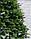 Ялинка штучна лита Карпатська салатові кінчики 2,50 м, фото 2