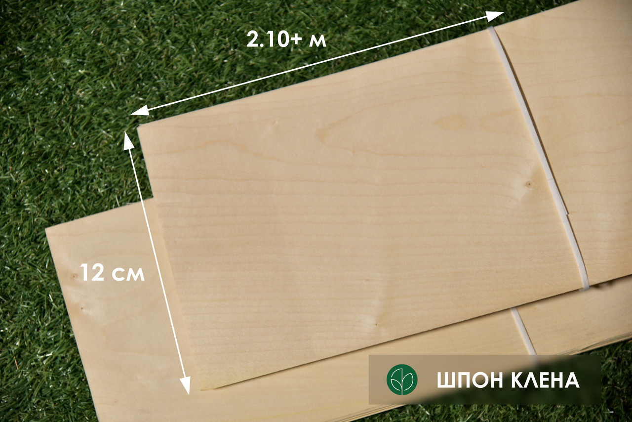 Шпон клена (Україна) - 0,6 мм - довжина 2,10 - 3,80 м / ширина від 12 см (I ґатунок), фото 1