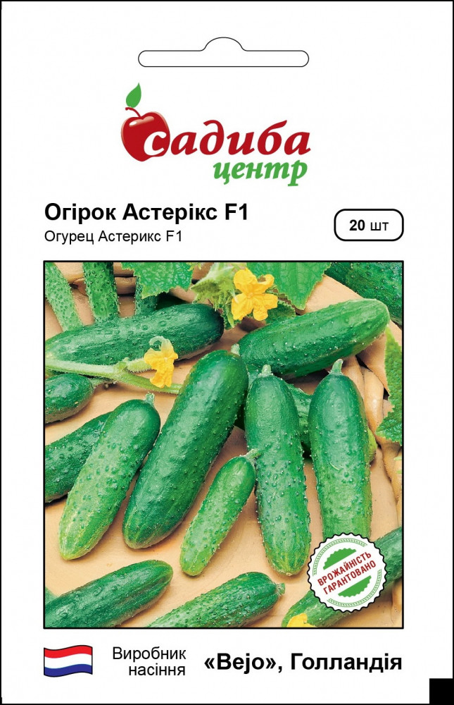 Огірок Астерікс F1, 20 шт,Bejo Zaden (Голландія)